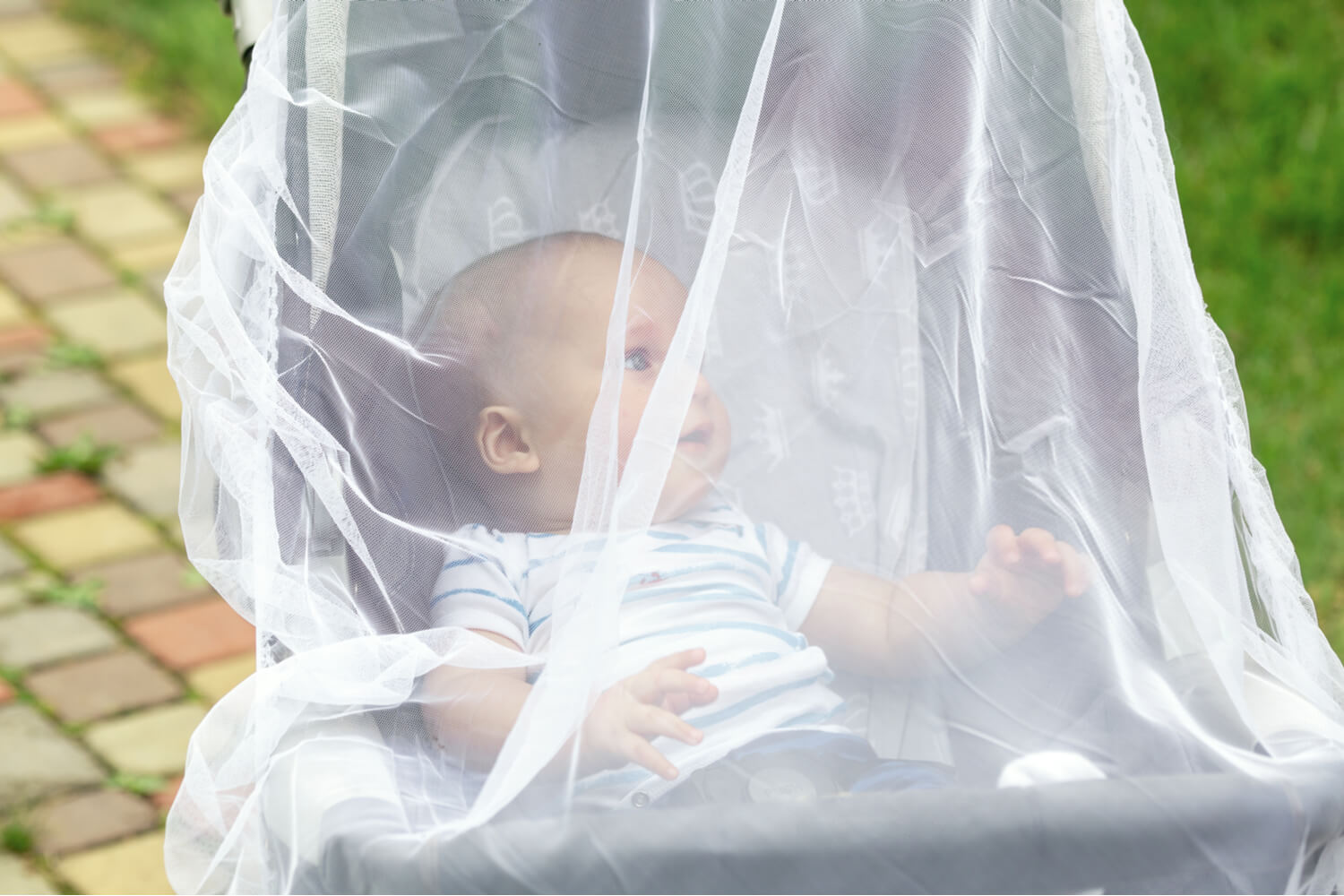 baby on stroller with mosquito net