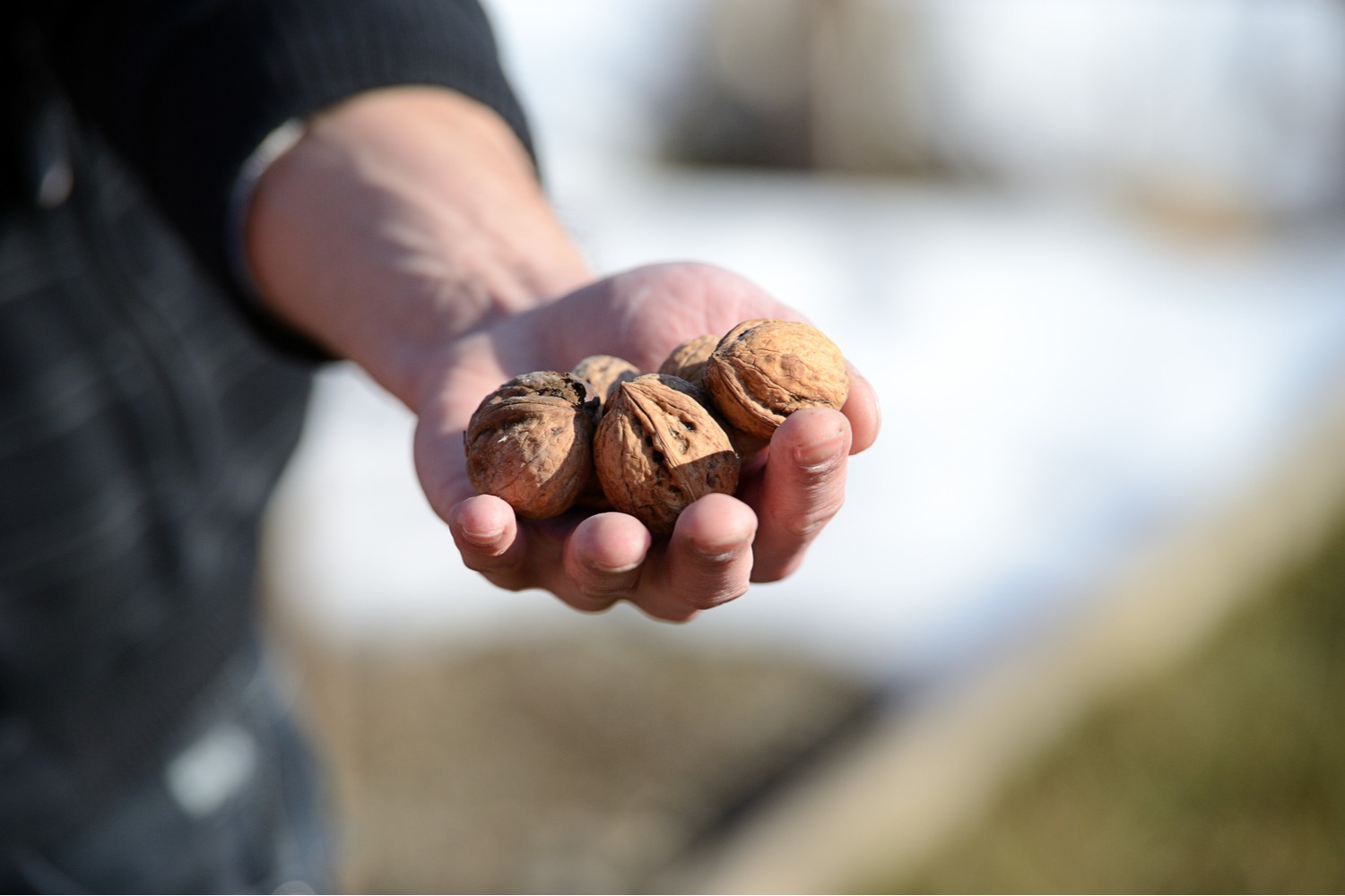 Fertility Foods For Men Being The Parent