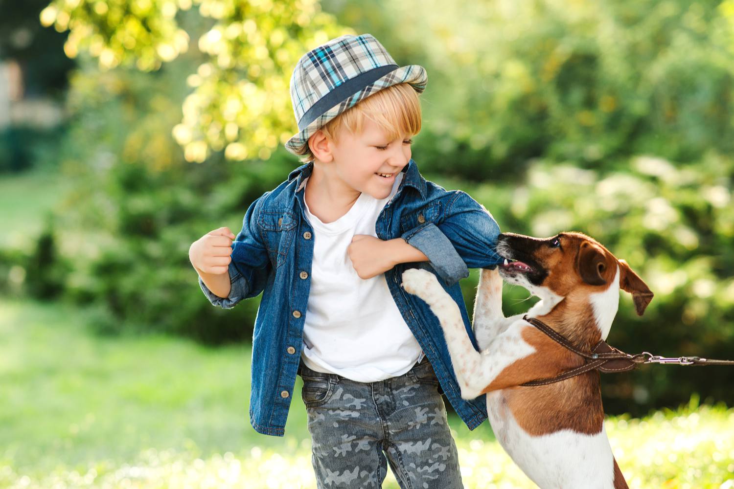 what to do if a dog attacks a child