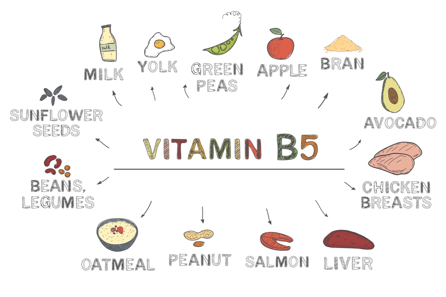 Vitamin B5 During Pregnancy Being The Parent
