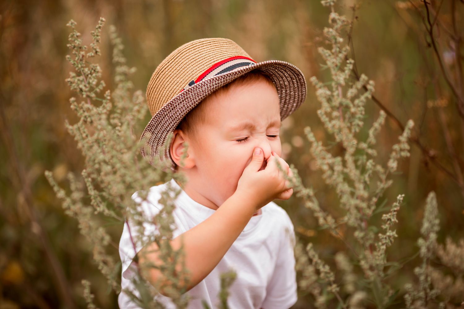 Common Indoor And Outdoor Allergens in Children