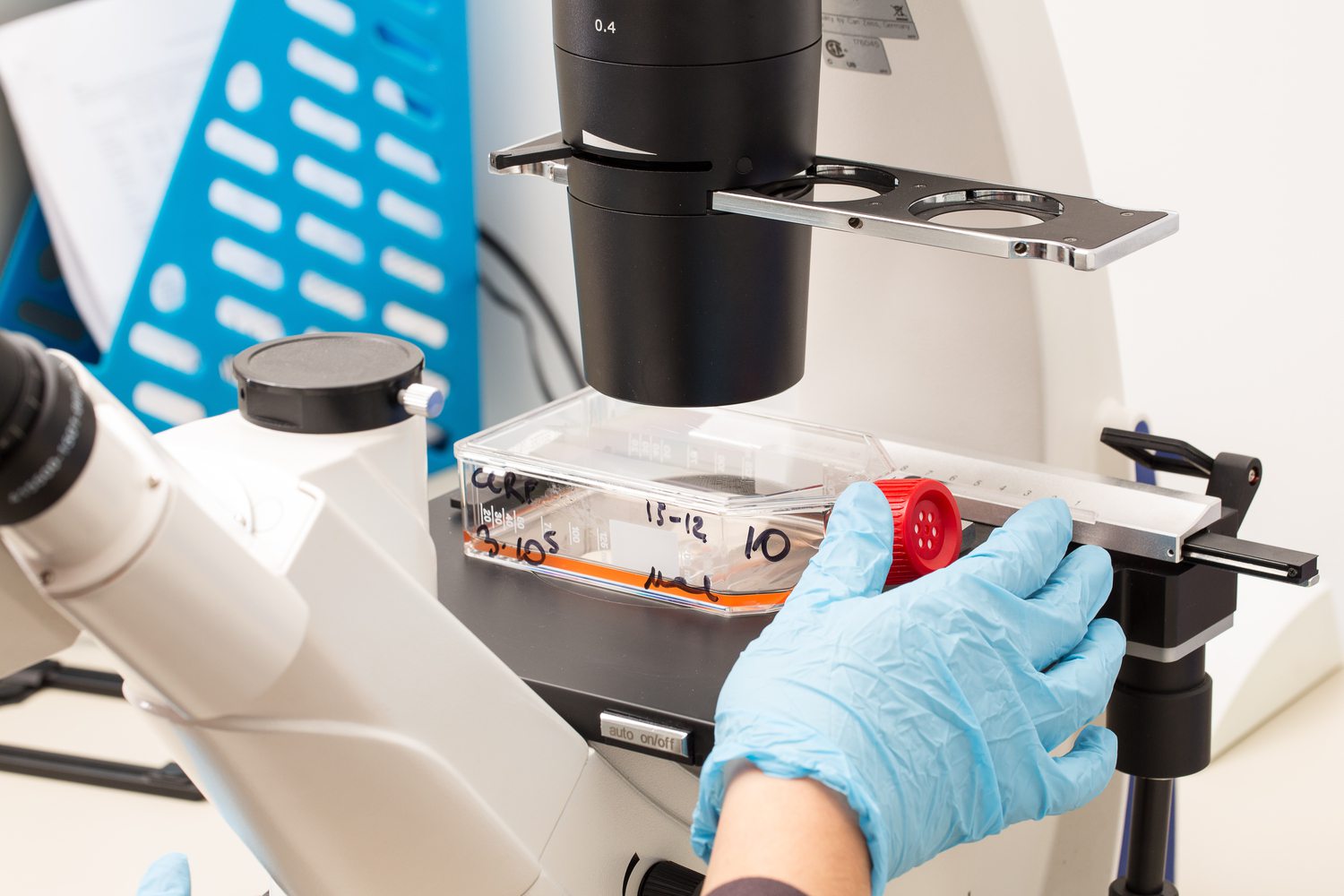 Examining genetic material