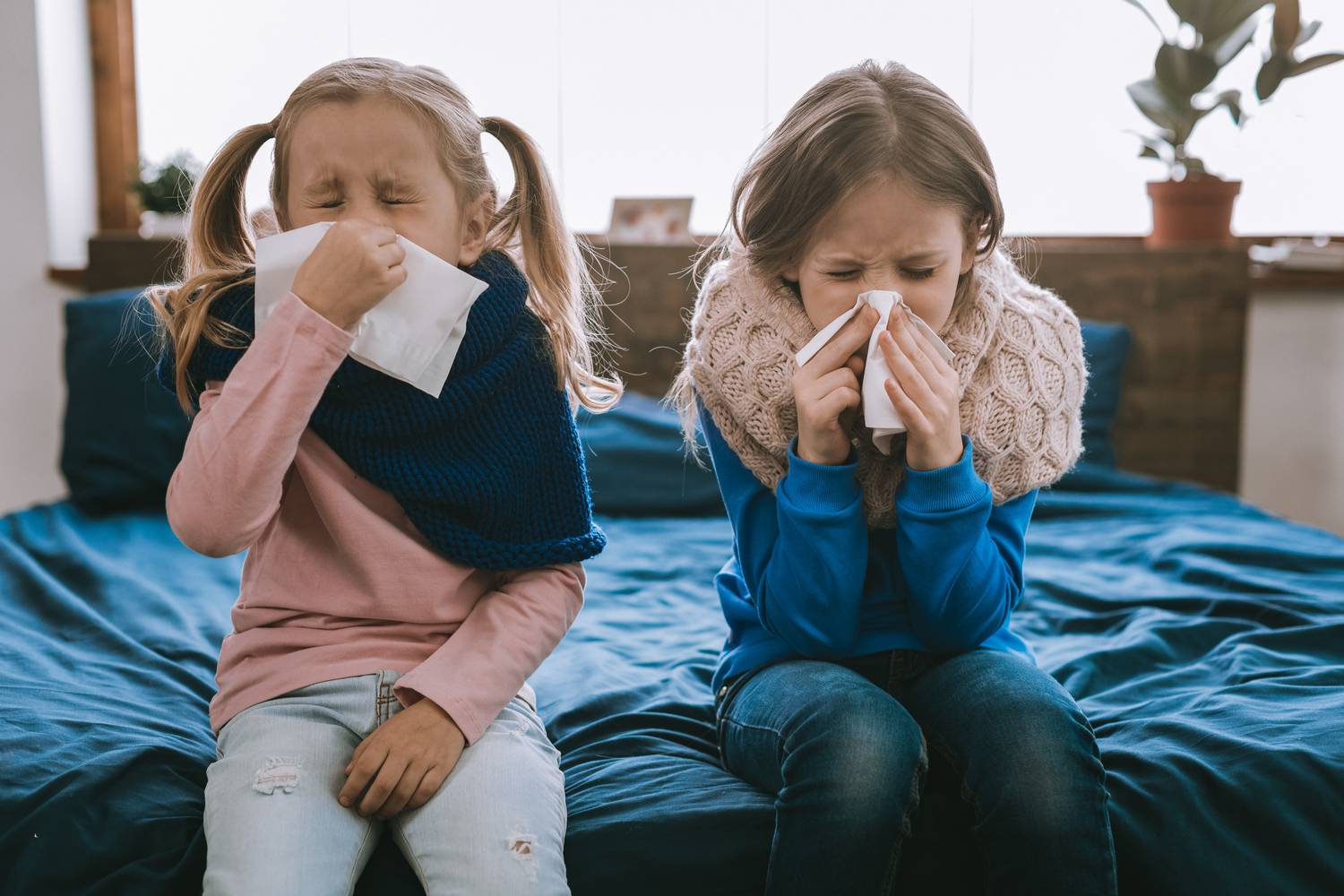 Indoor Allergy Signs And Symptoms