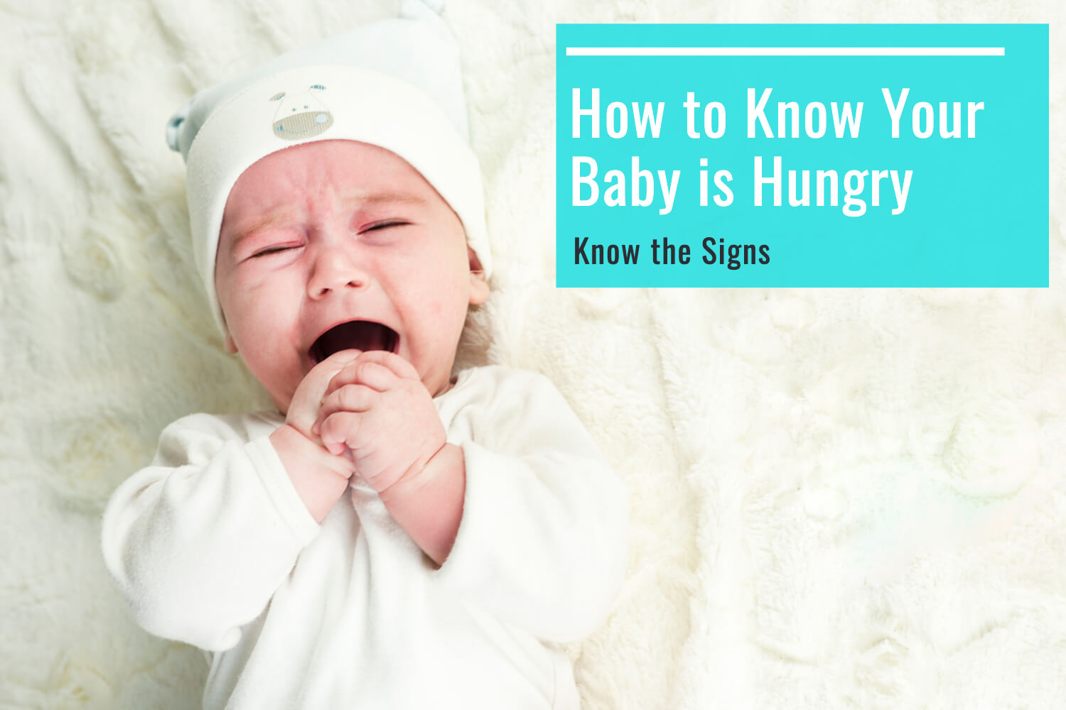 How to know Your Baby Is Hungry