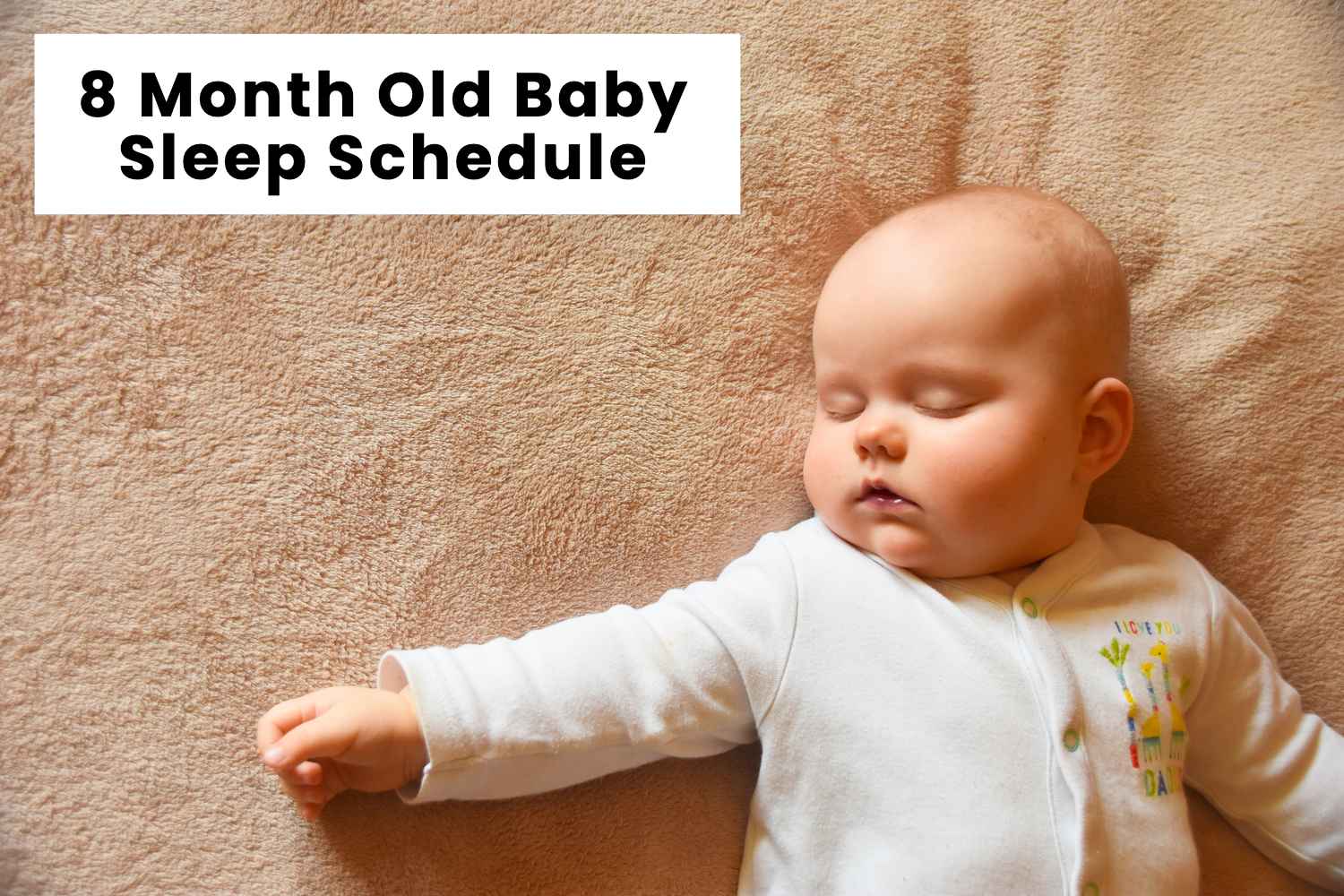 8 Month Old Baby Sleep Schedule
