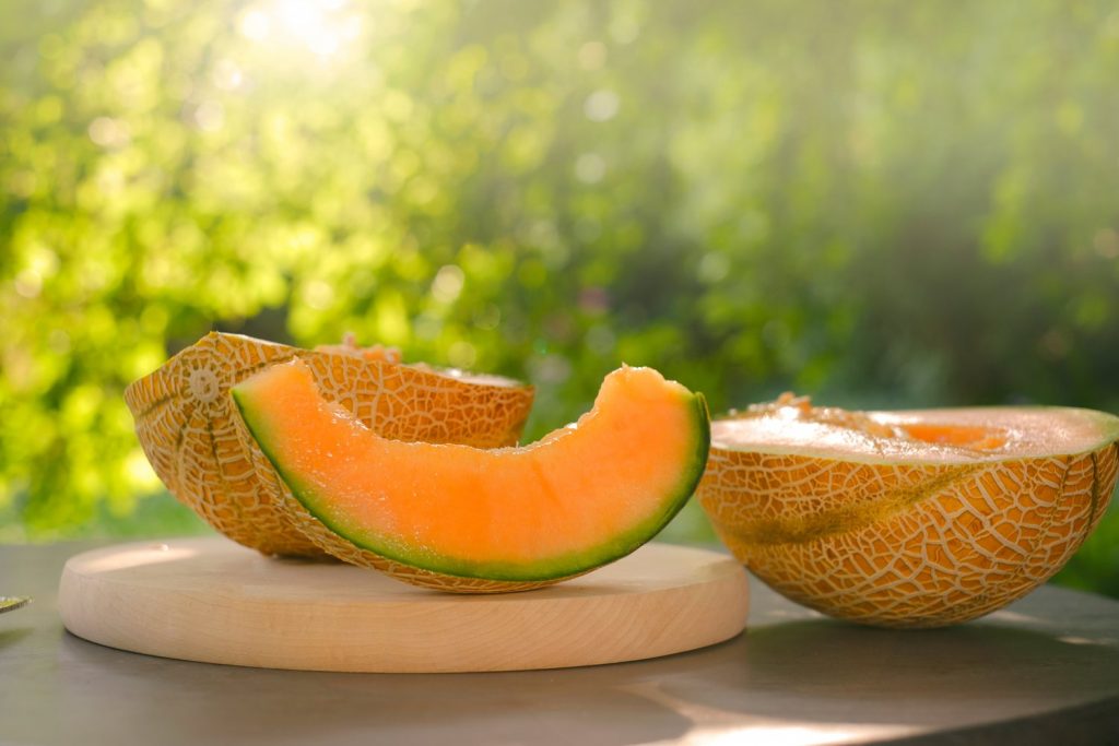 Muskmelon For Babies When to Introduce, Benefits and Precautions