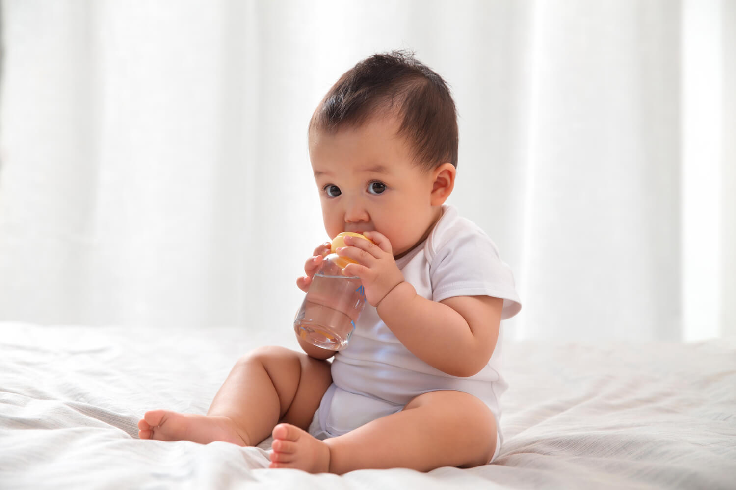 Introducing Holy Basil For Babies