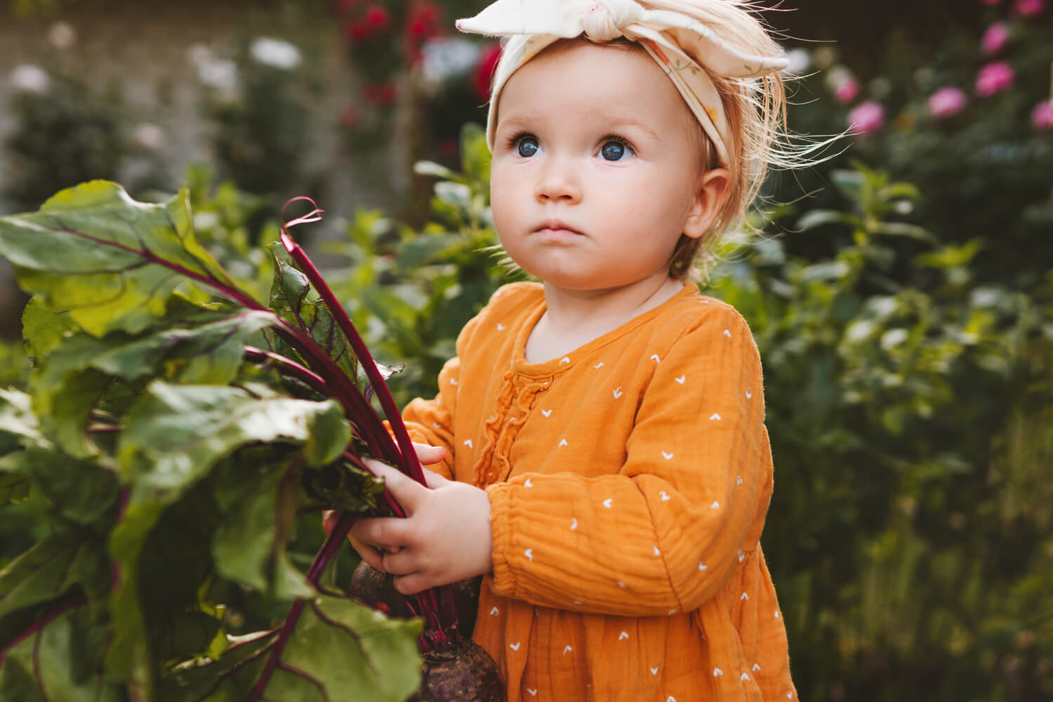 Benefits of Beetroot For Babies