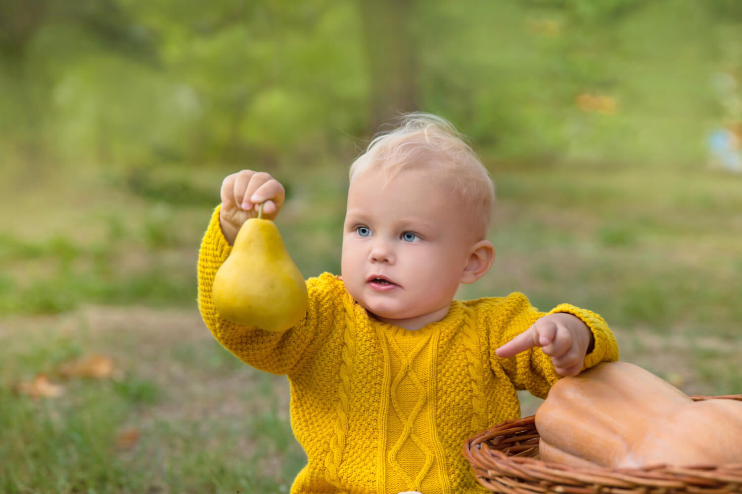 Pears For Babies When to Introduce, Benefits And Precautions Being