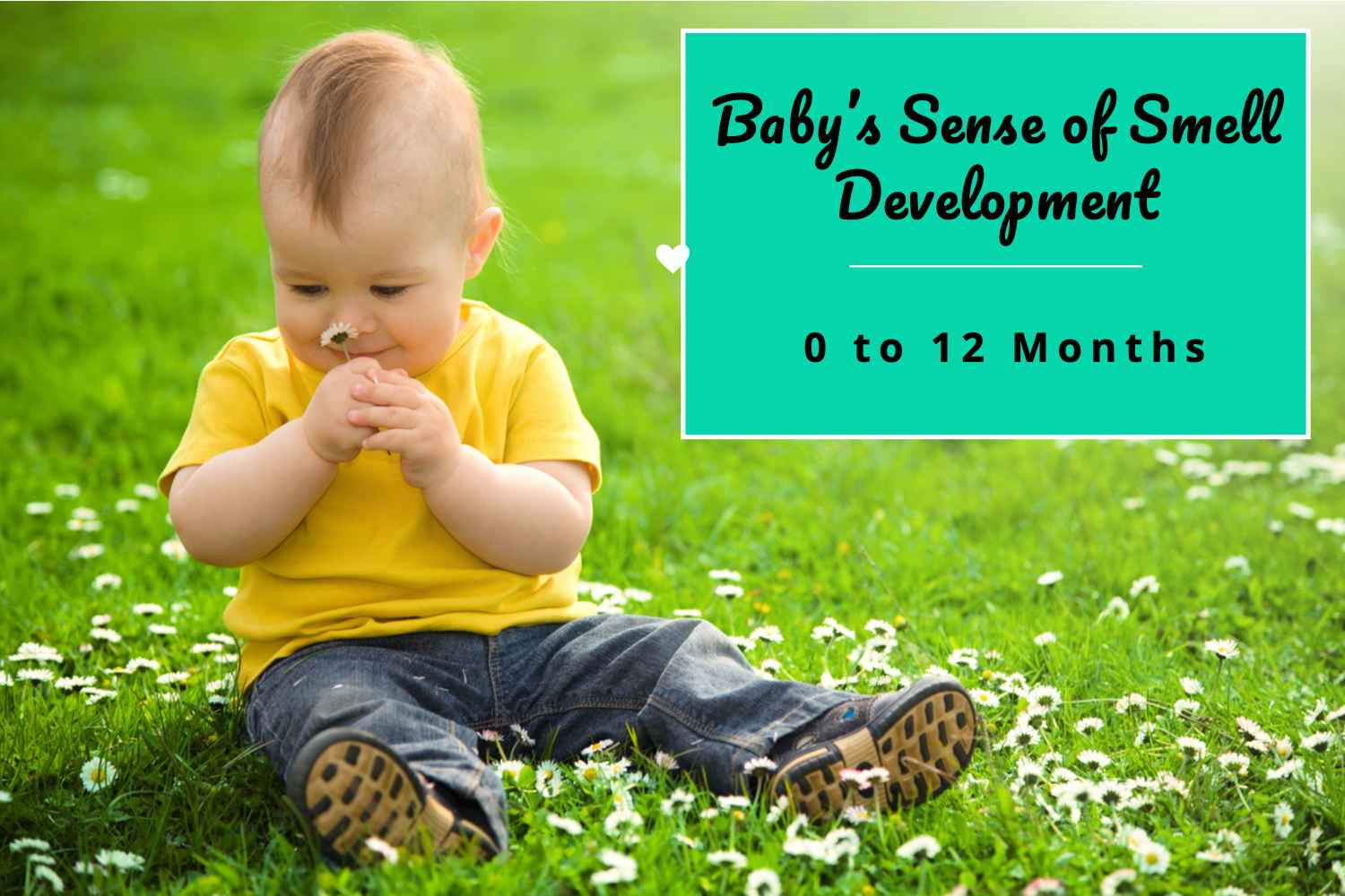 Baby’s Sense of Smell Development