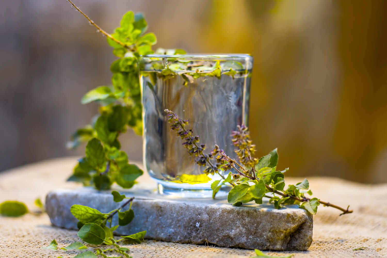 Tasty Basil Leaf Recipes For Babies