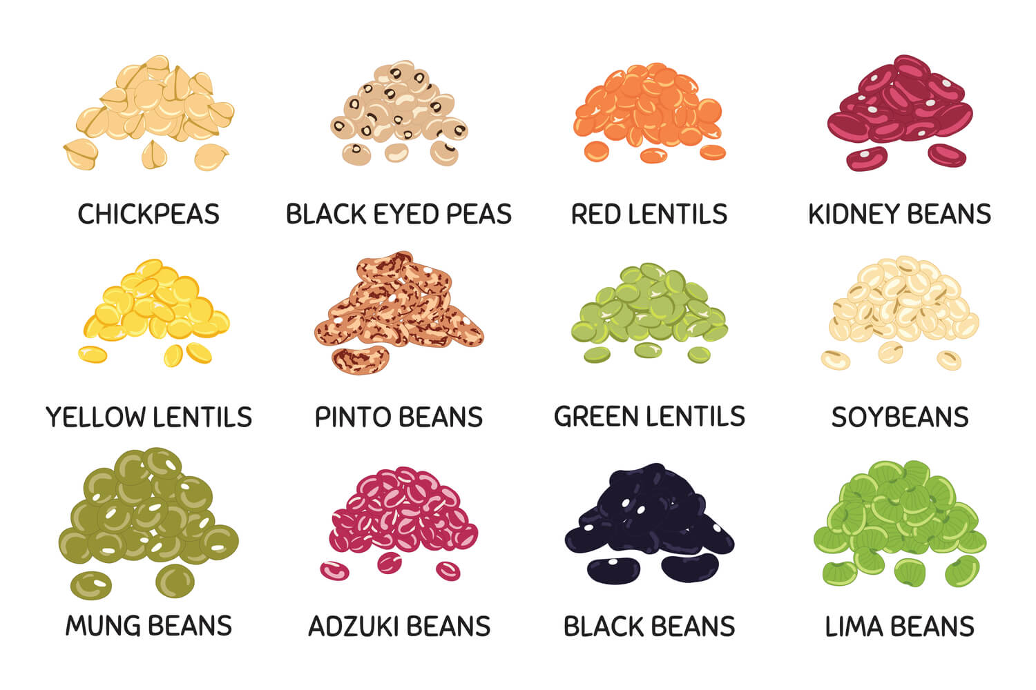 Beans For Babies When to Introduce, Benefits and Precautions Being