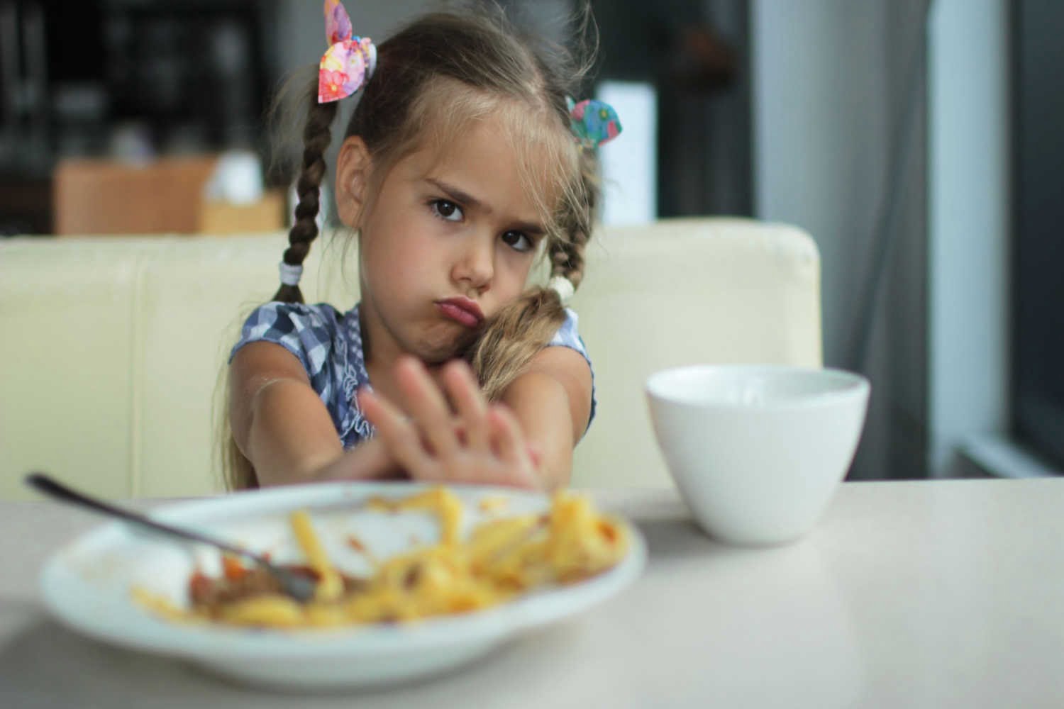 My Child Is A Fussy Eater