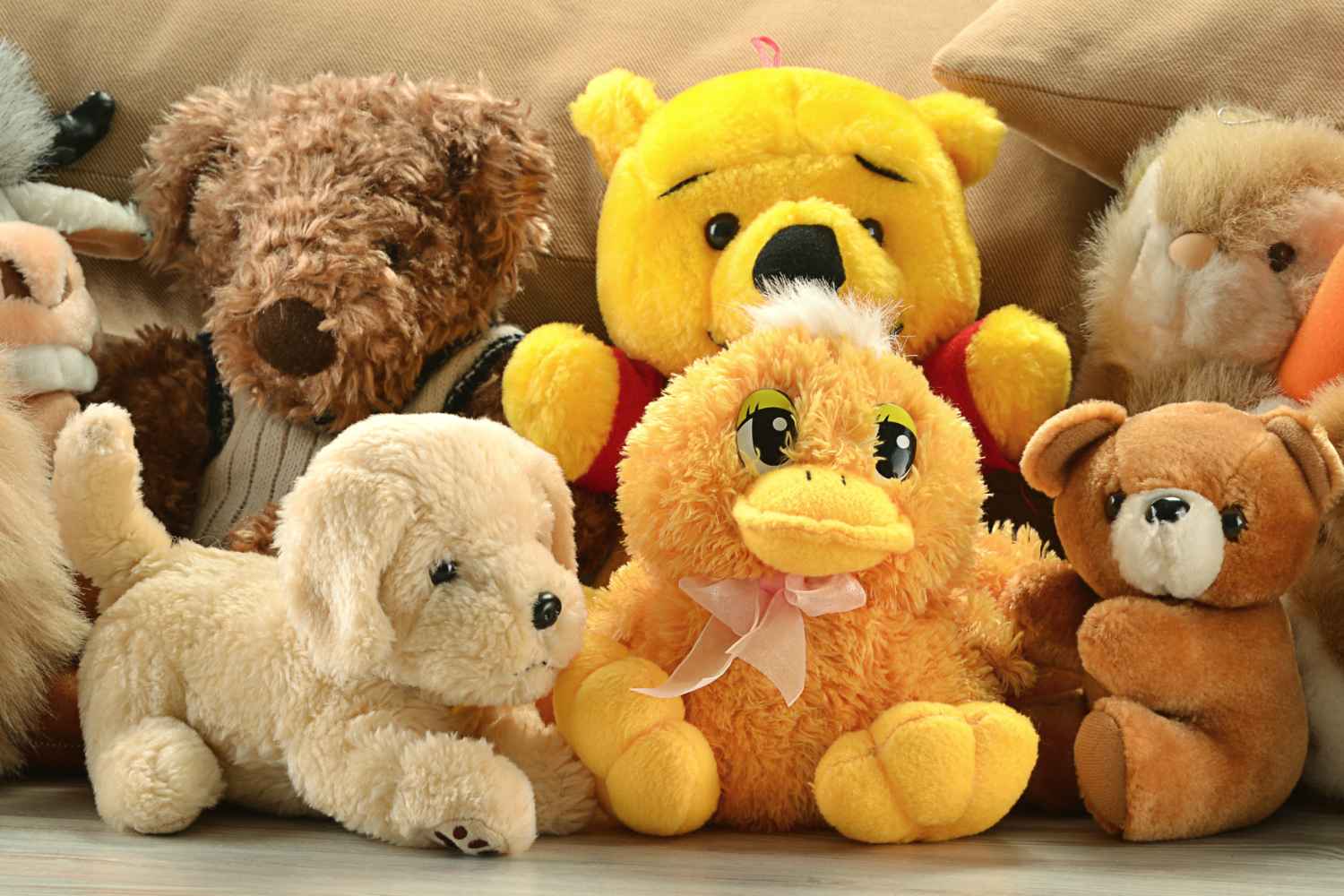 Soft, Plush and Stuffed Toys