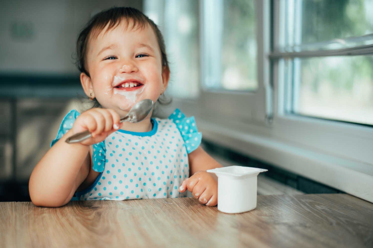 Sources of Zinc For Babies -yogurt
