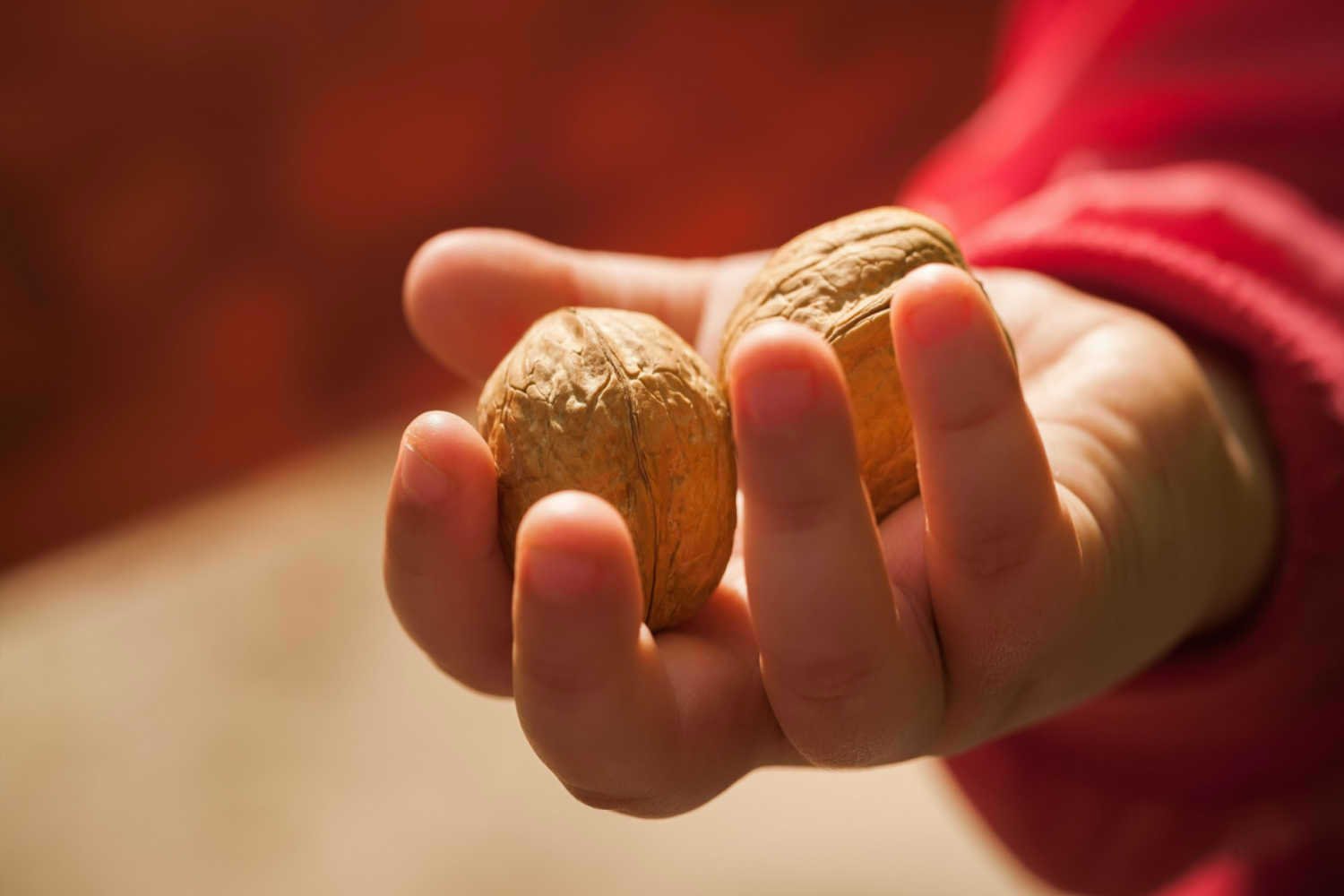 Walnuts For Babies When to Introduce, Benefits and Precautions