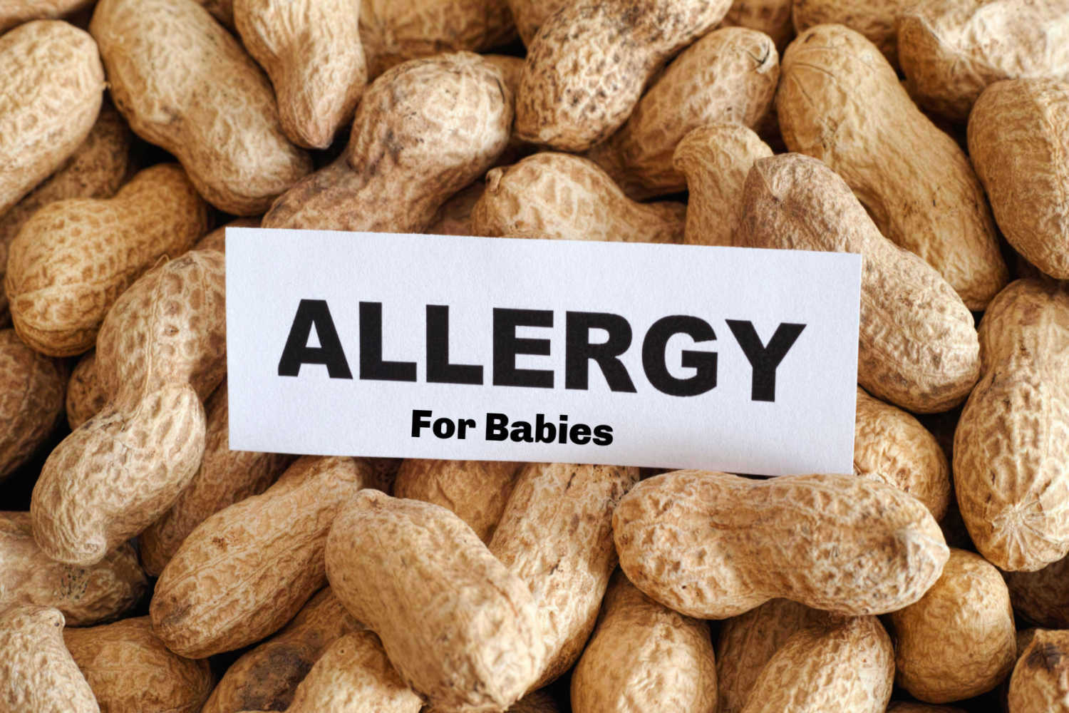 Peanut Allergy in Babies