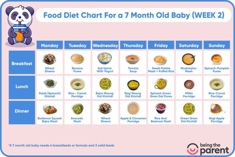 7 Month Baby Food - What to Give, What Not to Give and Sample Schedule ...