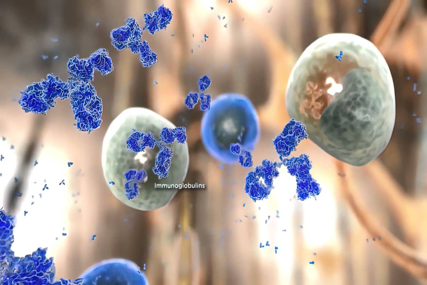 How Does Immune Memory Work_.