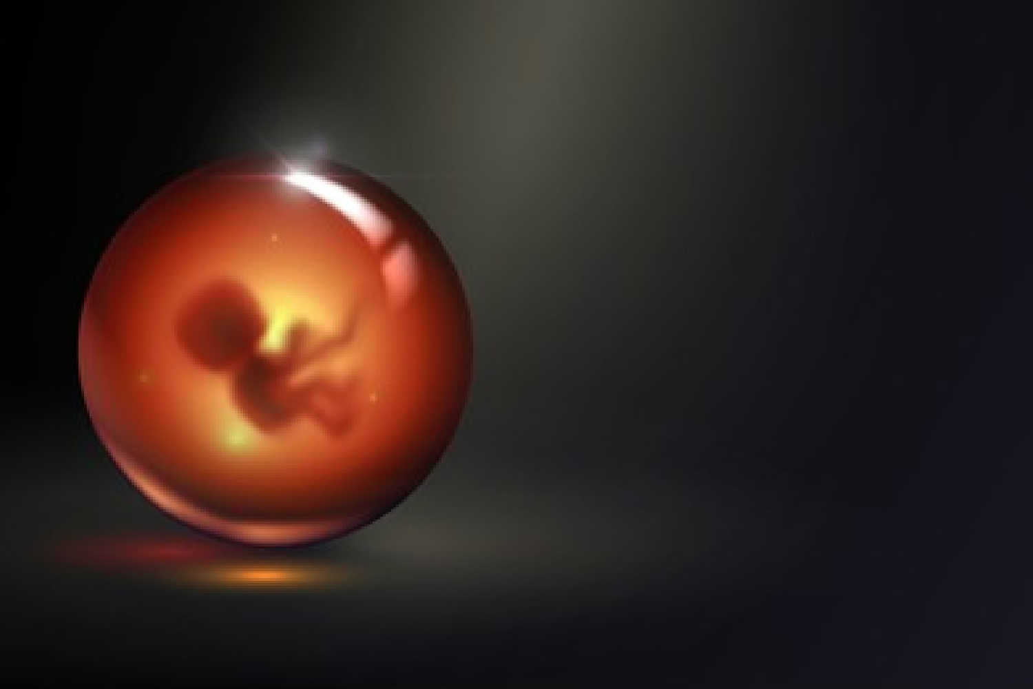 Human embryo in glass ball