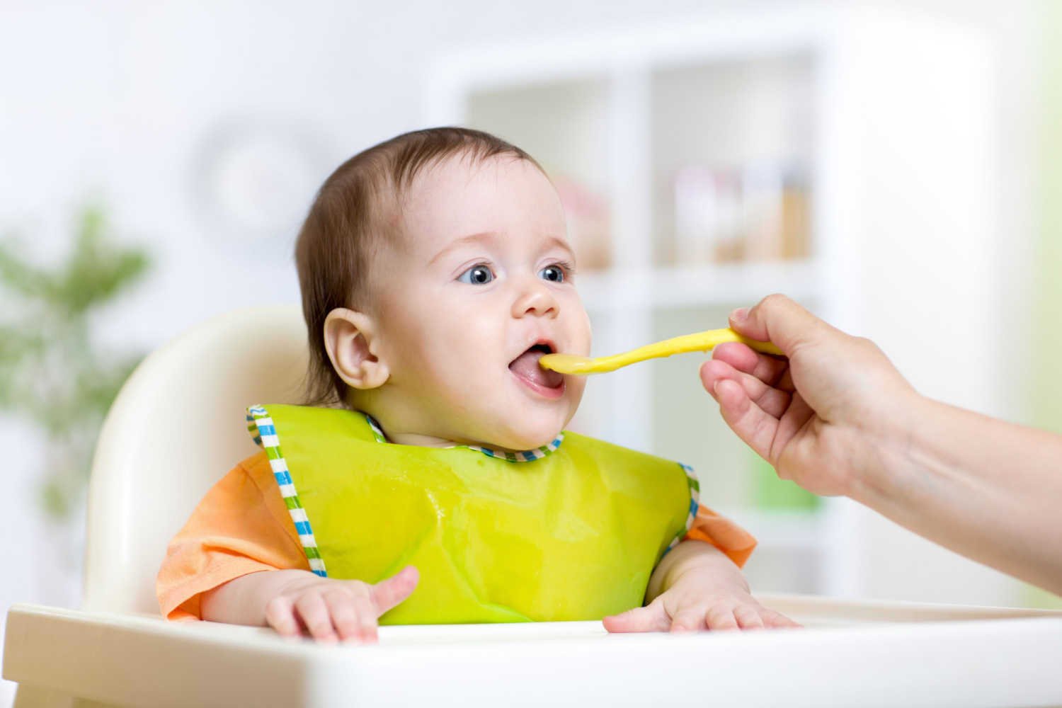 Introduce Tuna to Your Baby