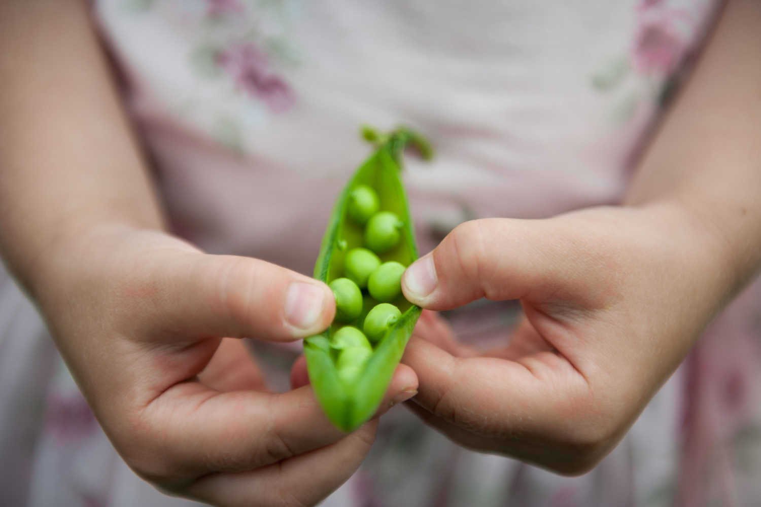 Benefits of Peas For Babies