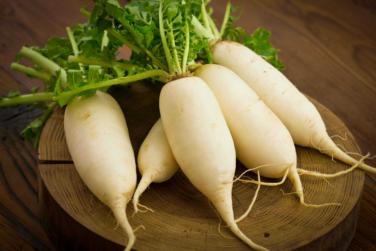 Radish For Babies When to Introduce, Benefits, and Precautions