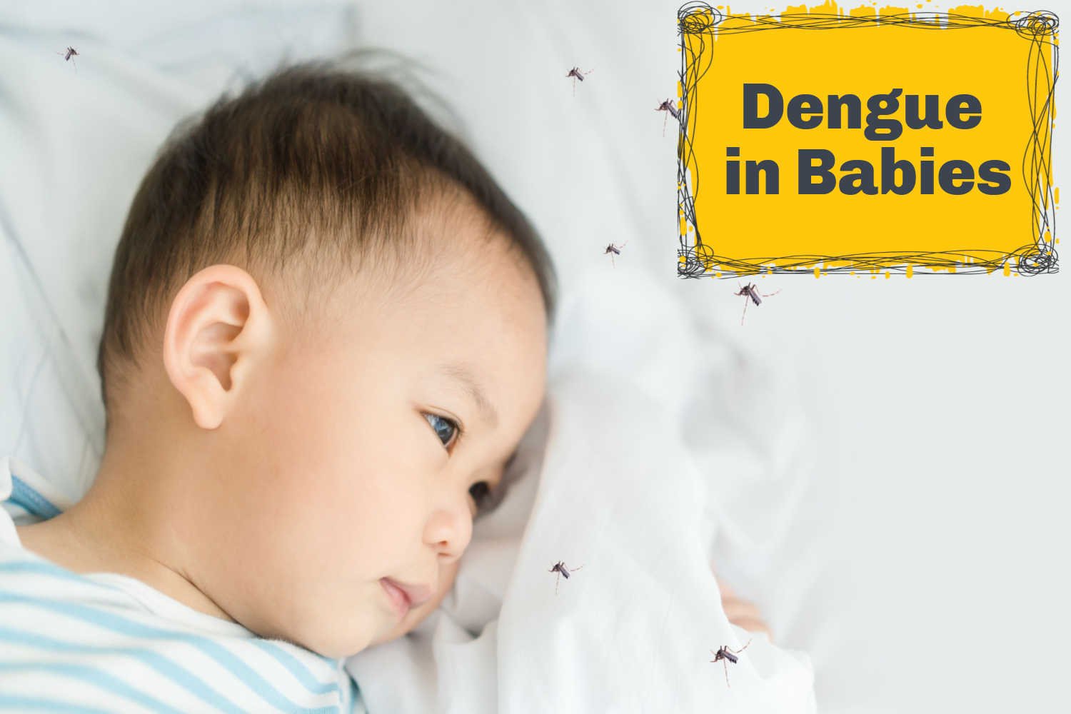 Dengue in Babies Causes, Symptoms, and Treatment Being The Parent
