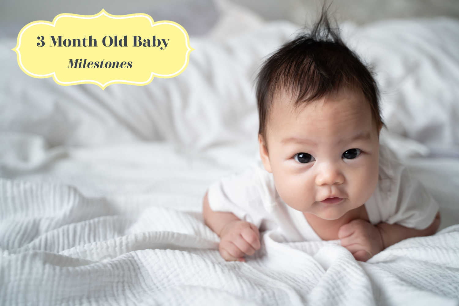 3 Month Old Baby Milestones - What Are They and How to Help Your Baby ...