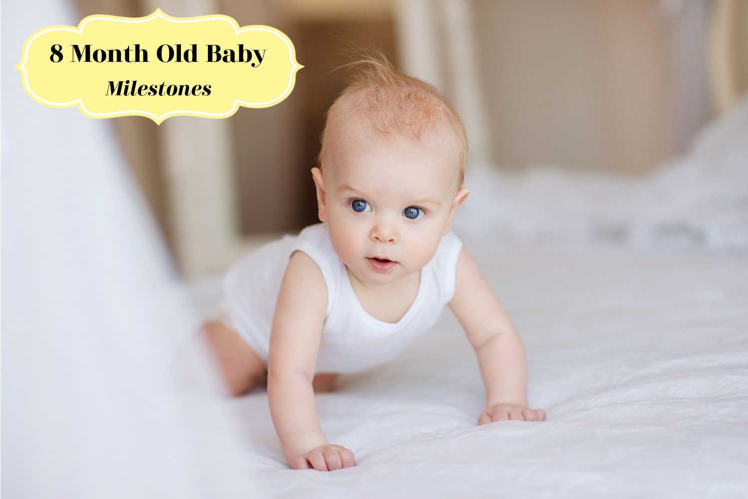 8 Month Old Baby Milestones – What Are They and How You Can Help