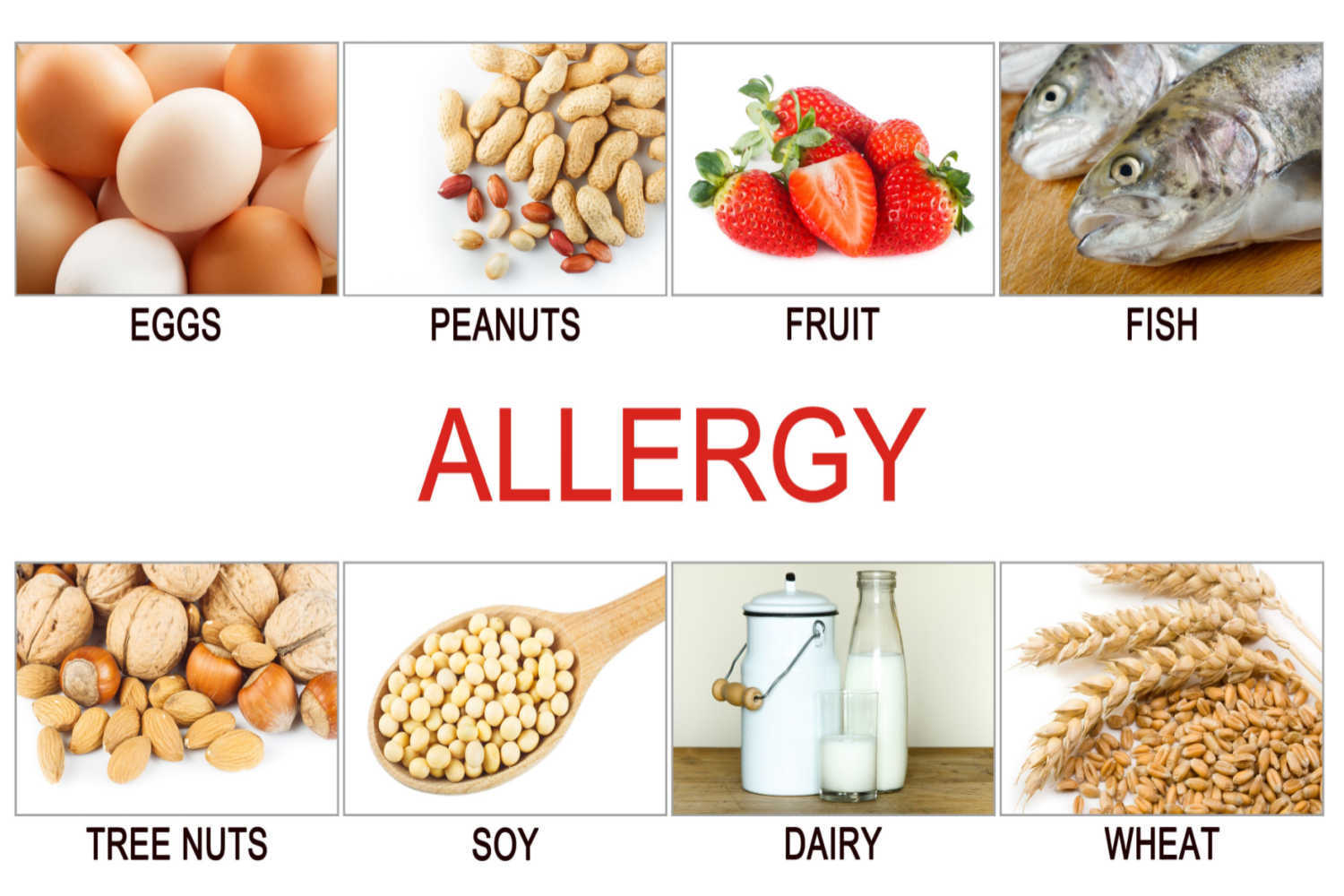 Food Allergies in Babies Signs, Preventive Measures and Treatment