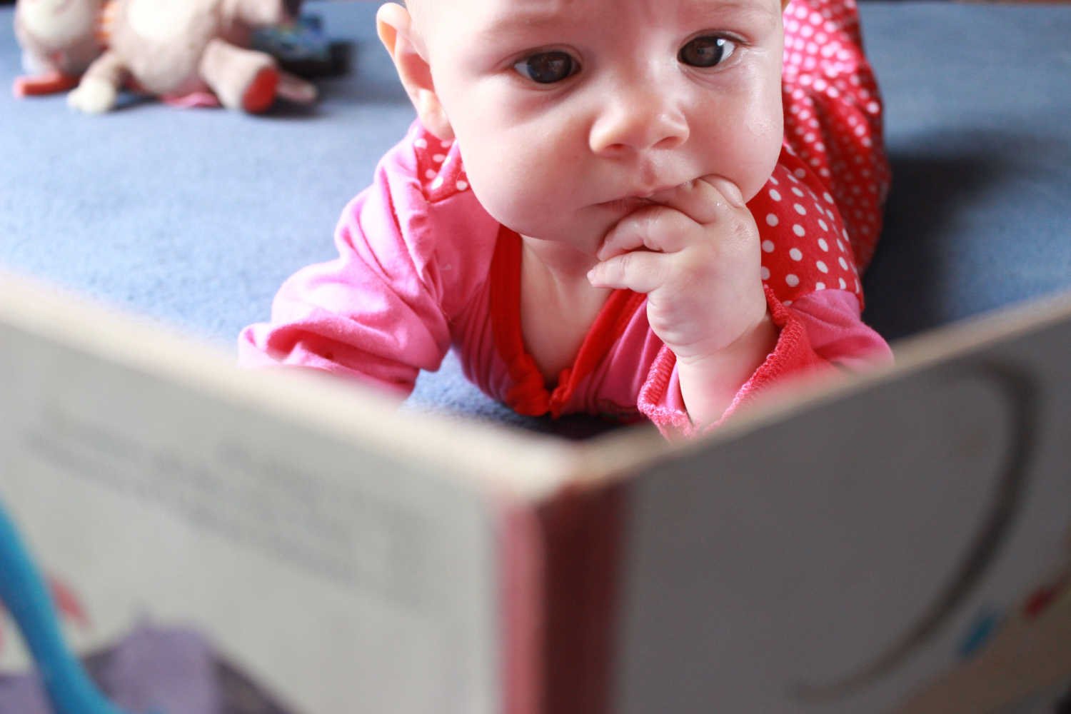 Are Board Books Good For Babies?