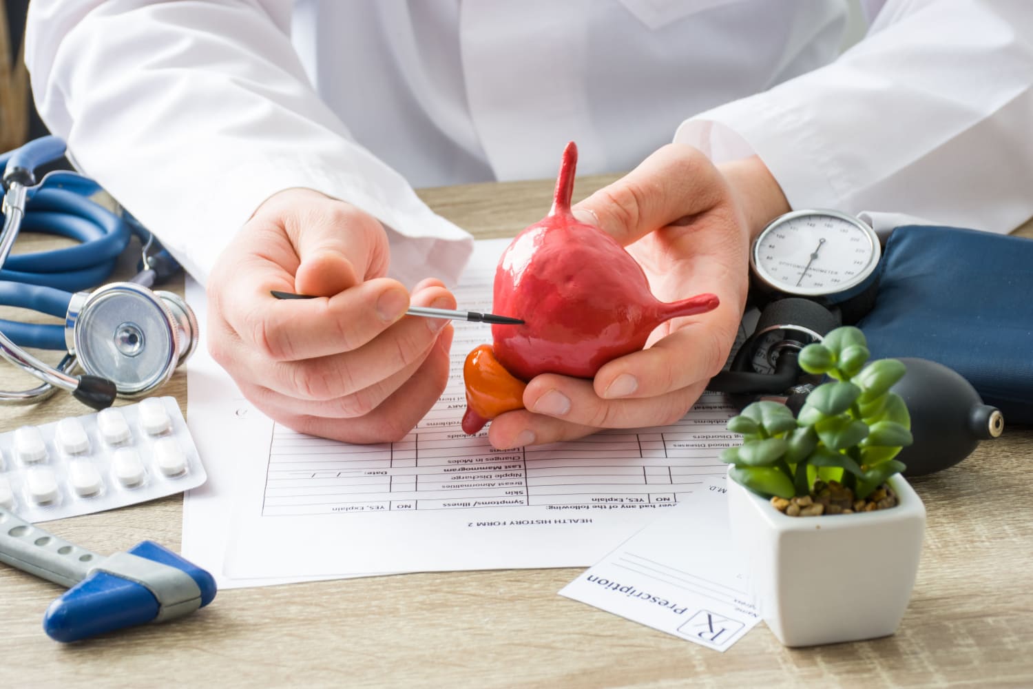 doctor explaining about the urinary bladder