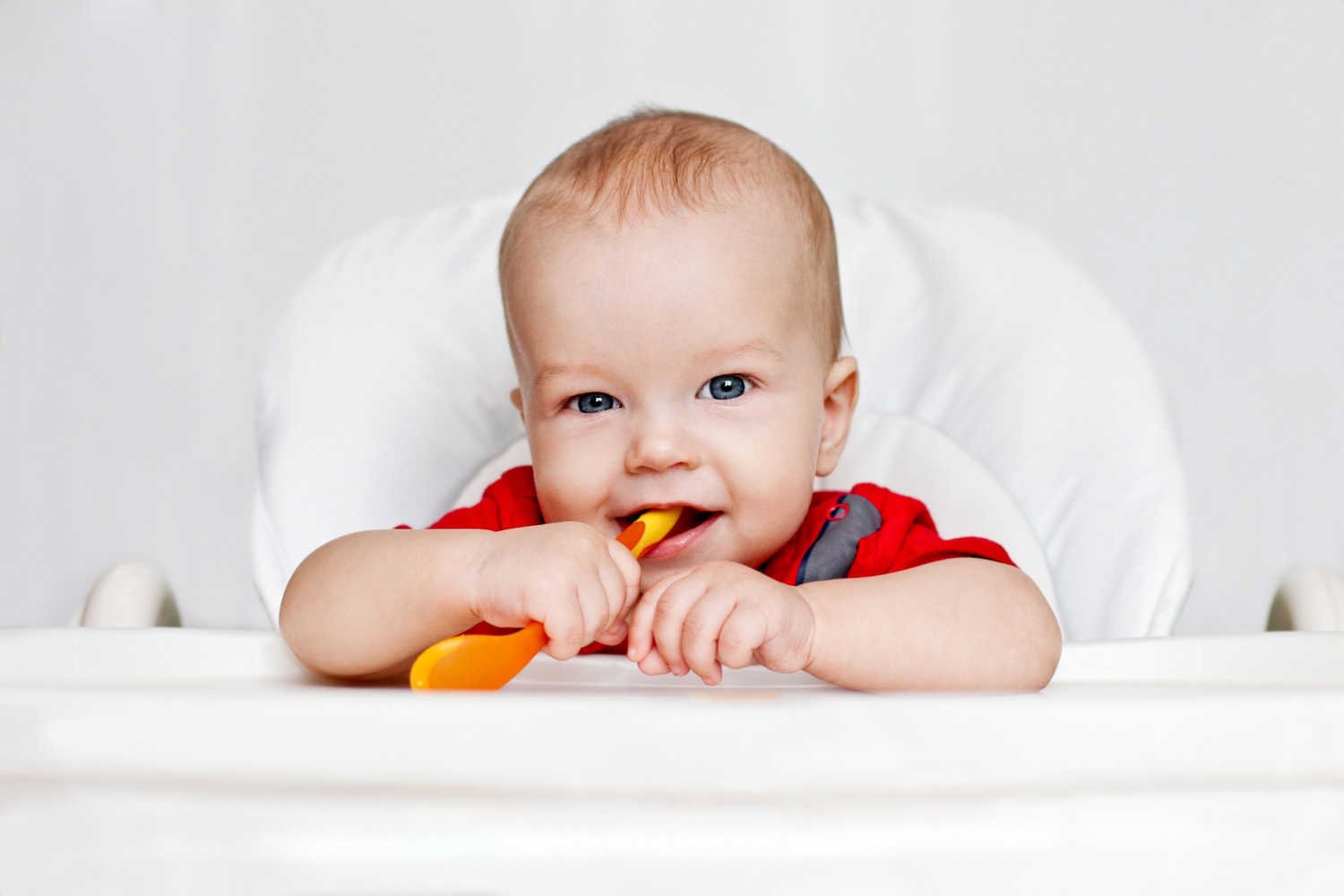 Ten Months Old Baby Food Schedule