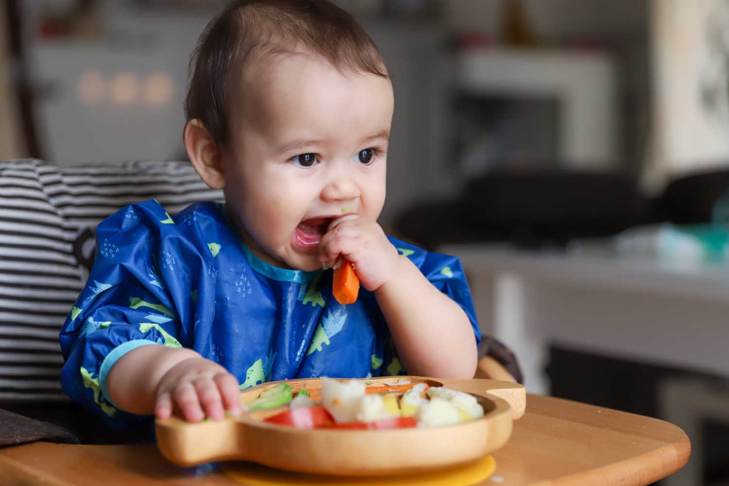 9 Month Baby Food What To Give What Not To Give And Sample Schedule 9-month-baby-food-what-to-give-what-not-to-give-and-sample-schedule