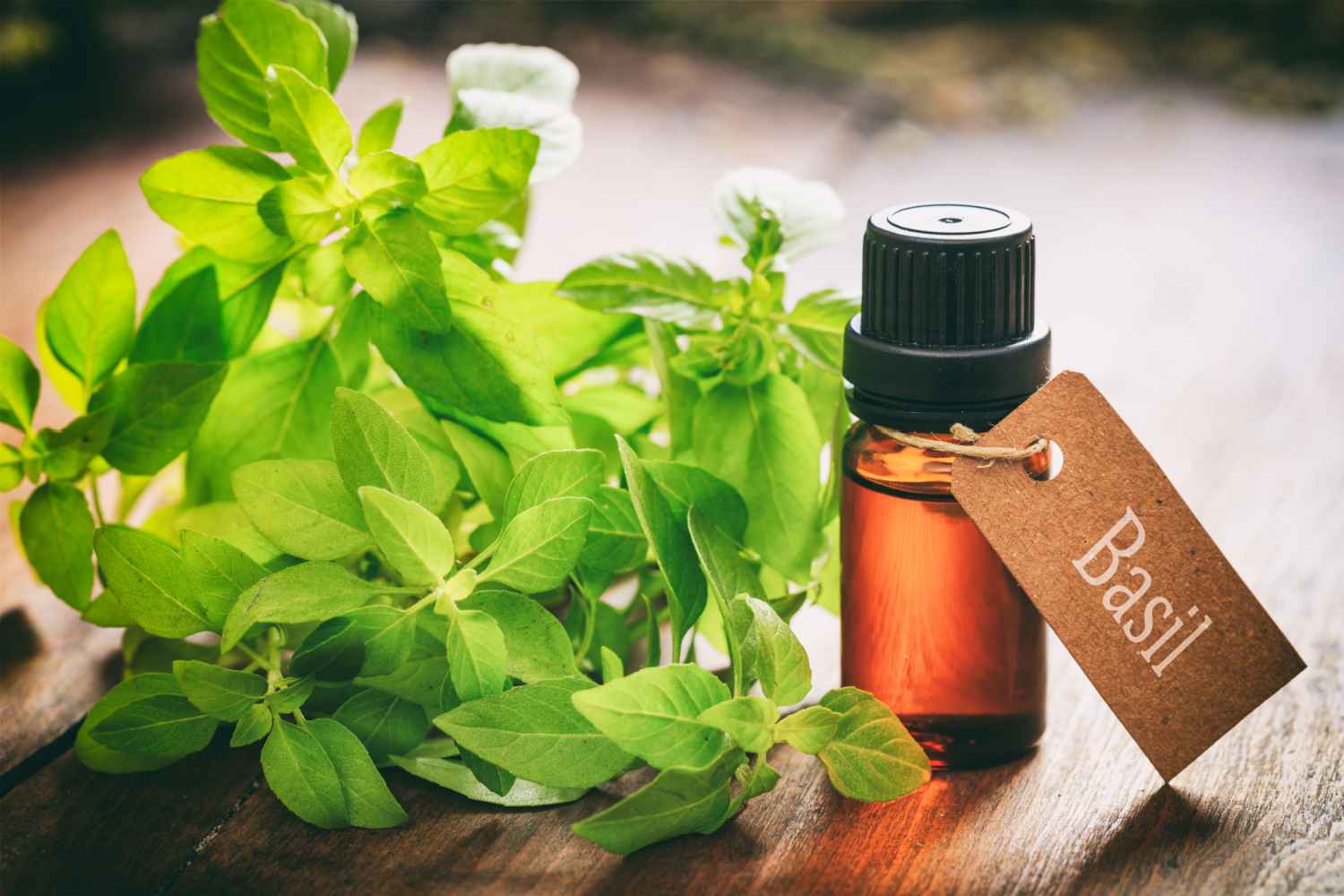 essential oil to avoid during pregnancy