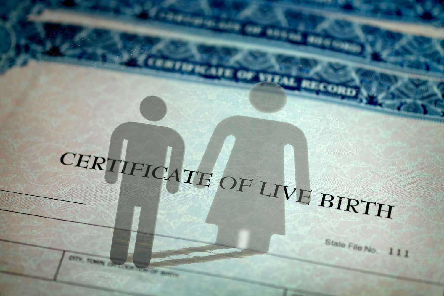 birth registration form