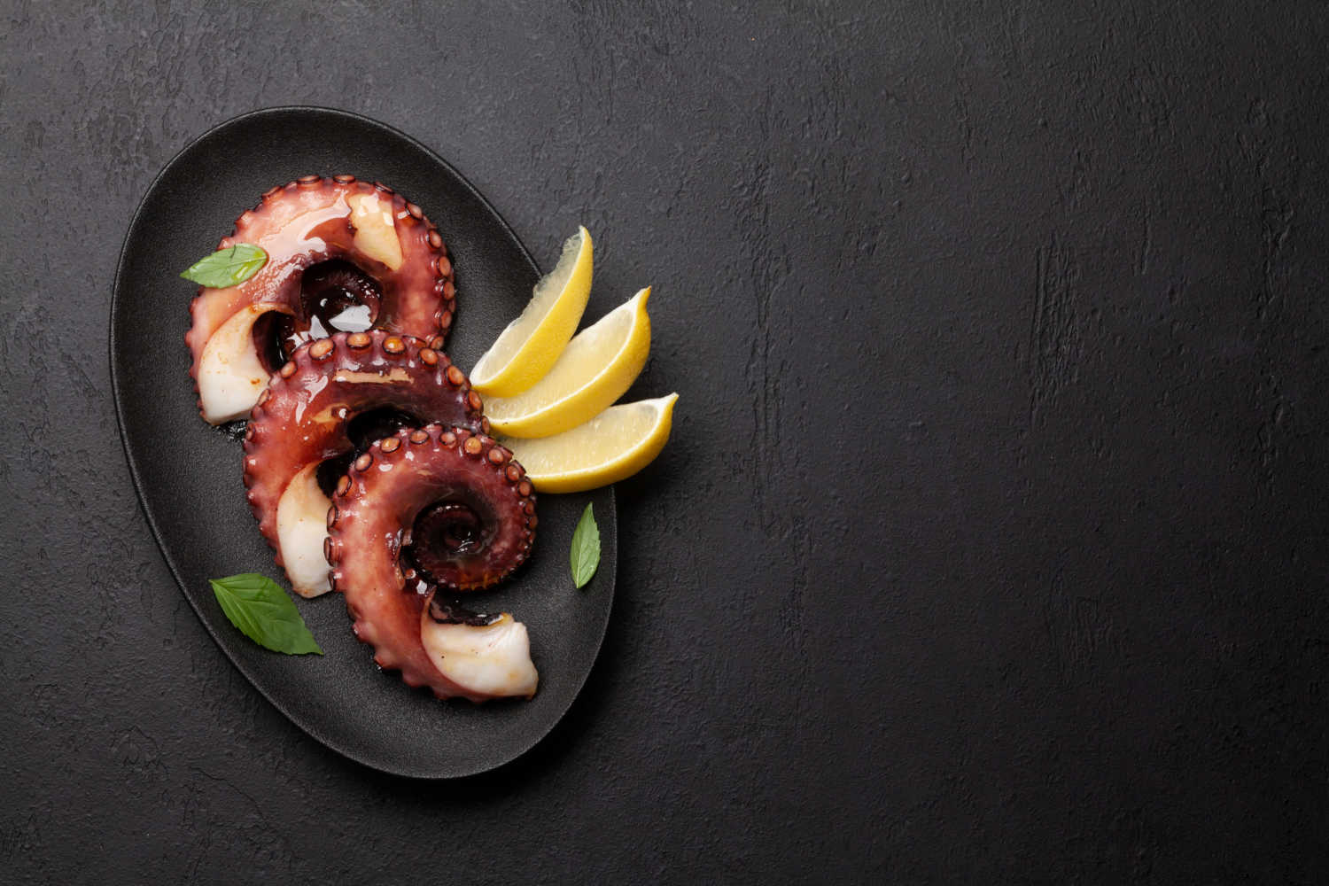 seafood in a plate 