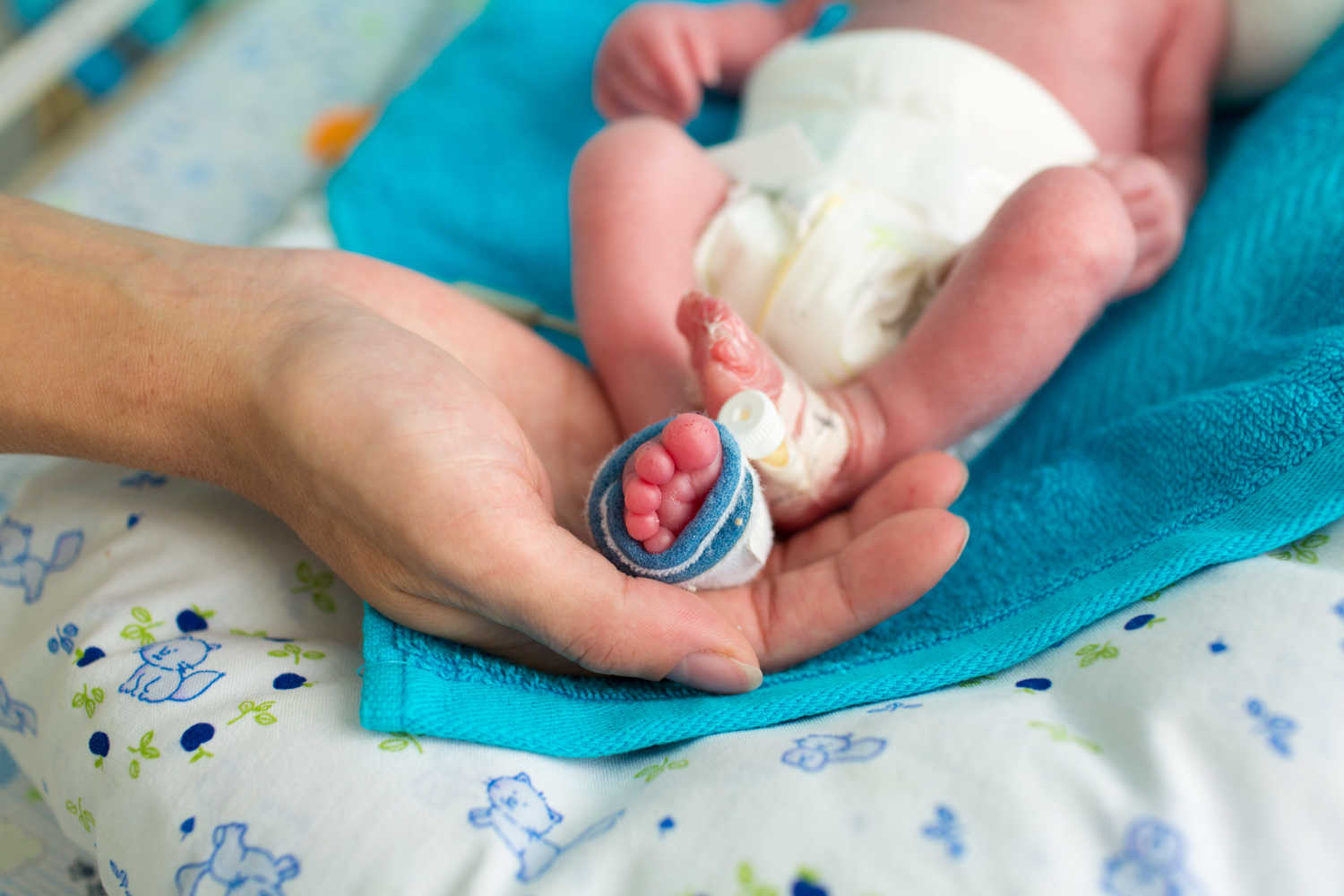 newborn baby legs 