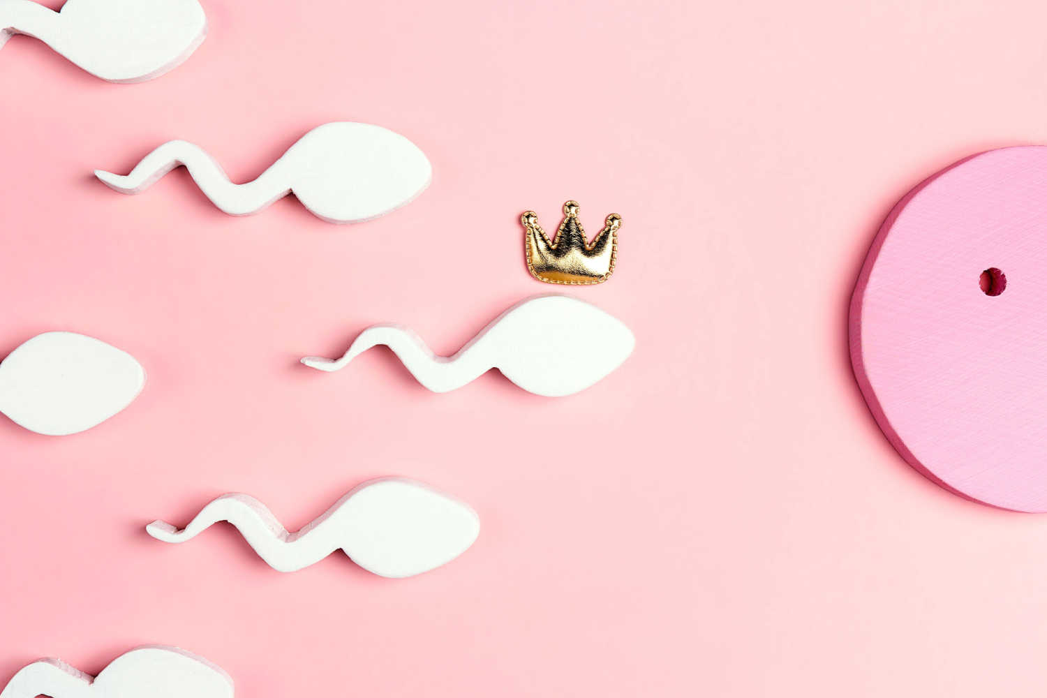 Why Are Fertility Supplements And Vitamins Important For Men