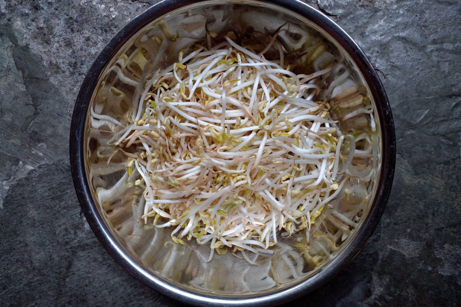 Eating Sprouts During Pregnancy Is it safe? Being The Parent