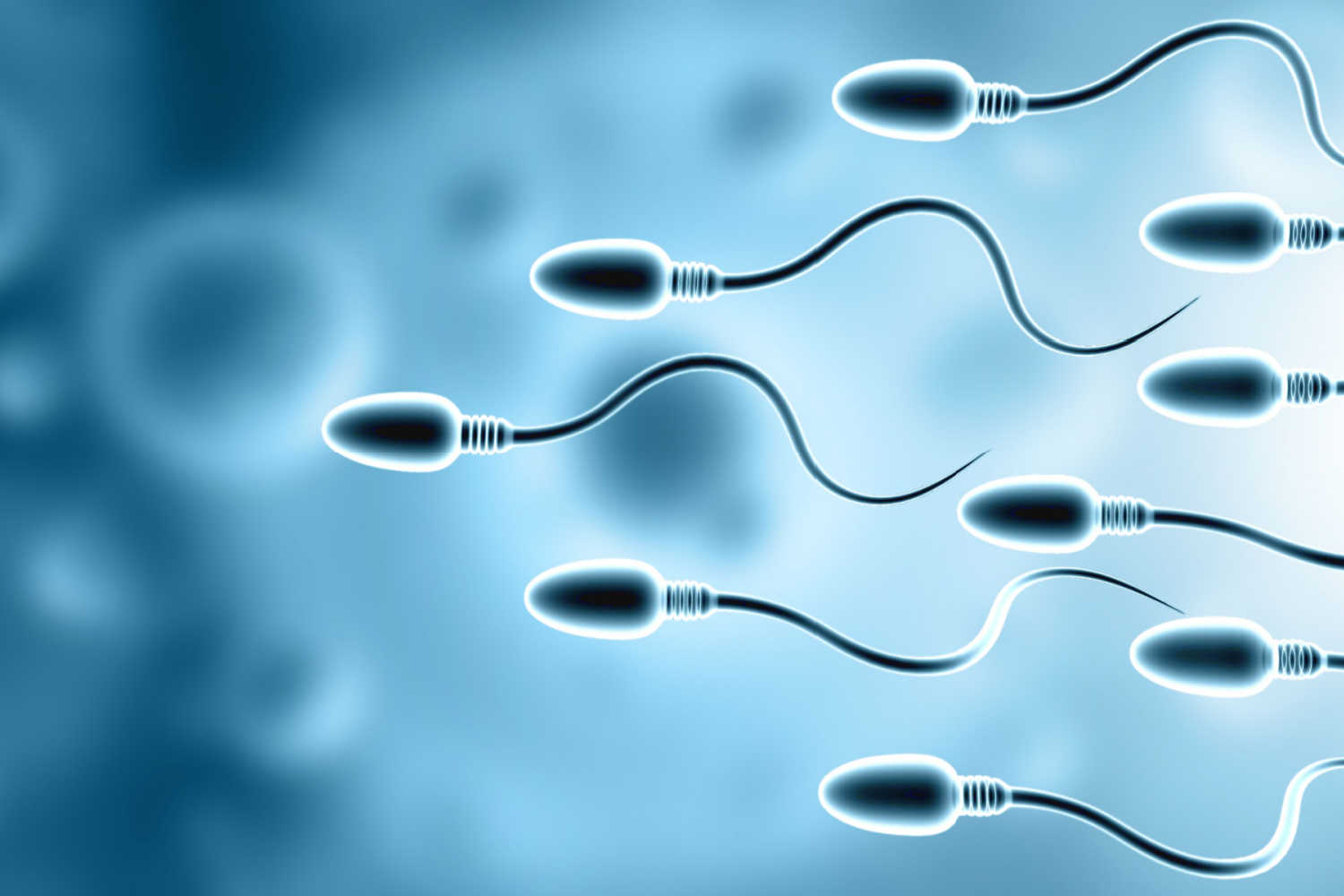 Preconception Testing For Men – Why It is Needed and Complete List of Tests