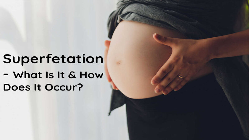 Superfetation What Is It And How Does It Occur
