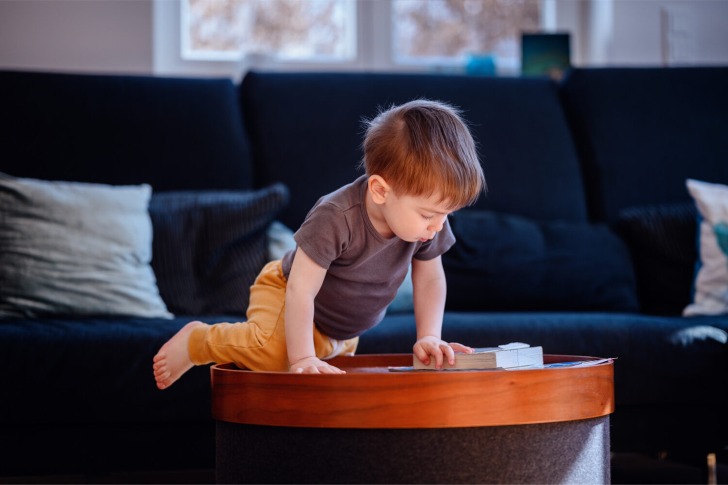 Why Does Your Toddler Loves Climbing on Everything? Being The Parent