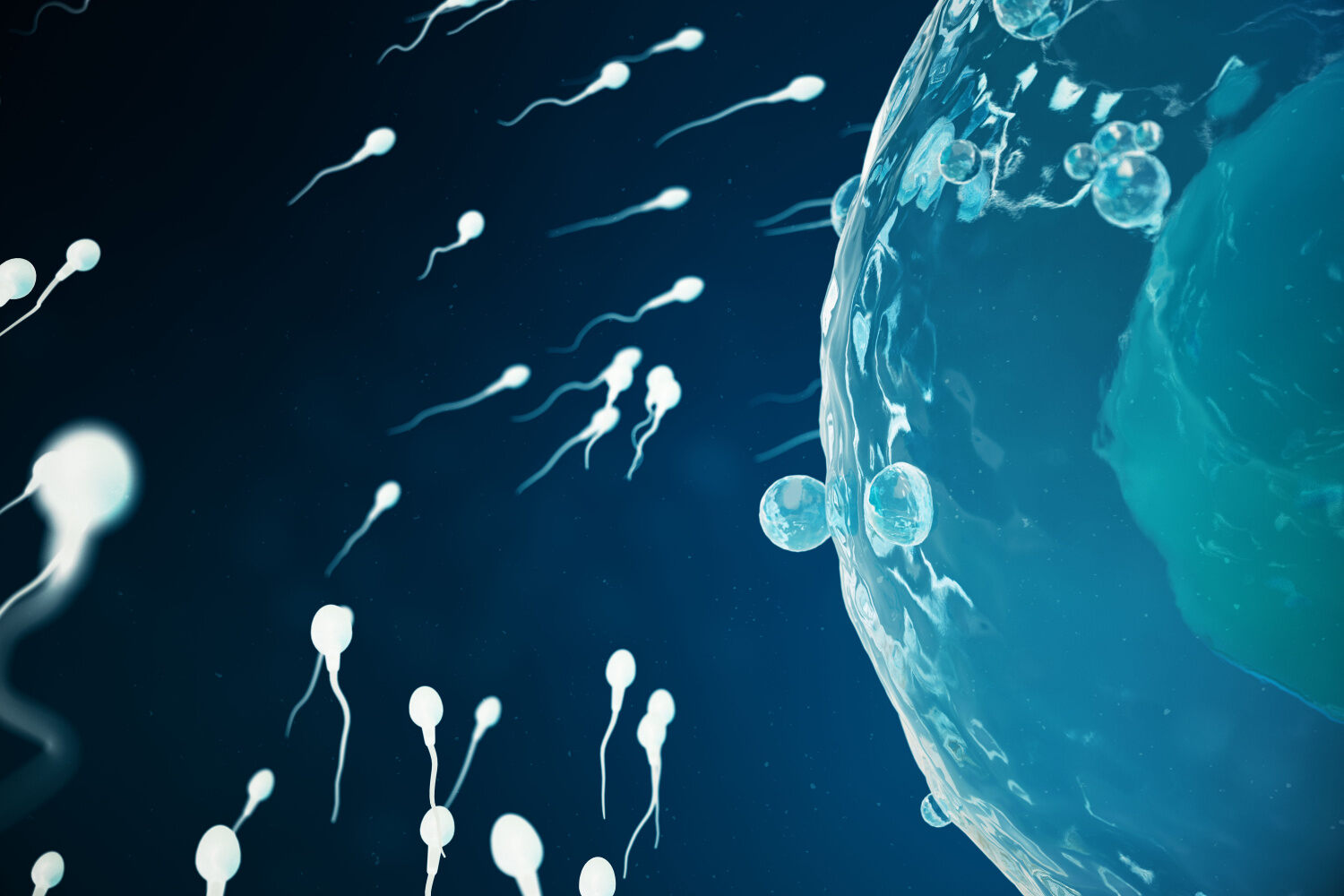 Alcohol And Implantation