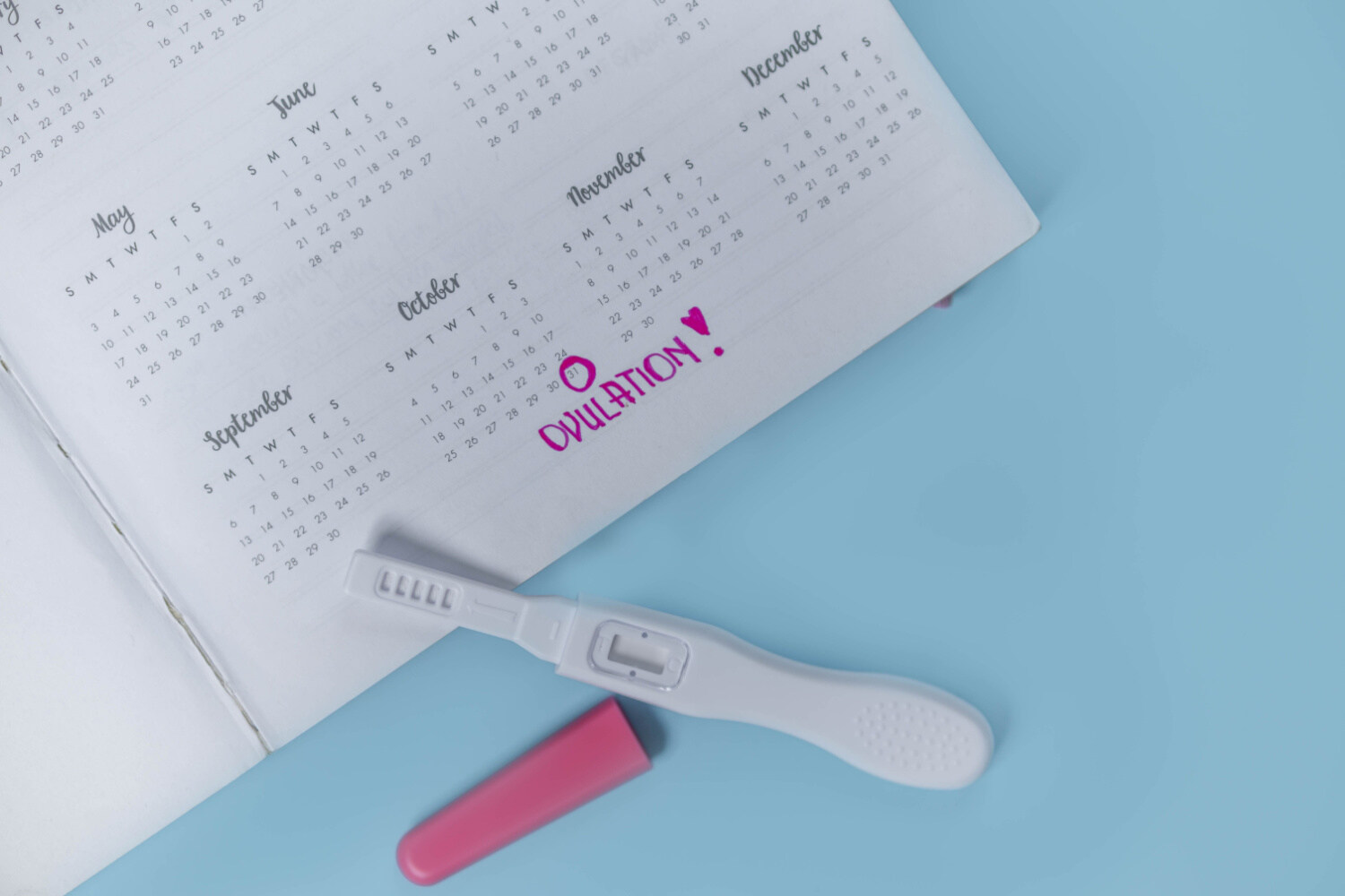 Ovulation And Bloating