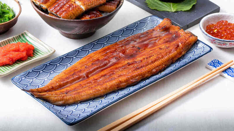 benefits of taking eel during pregnancy