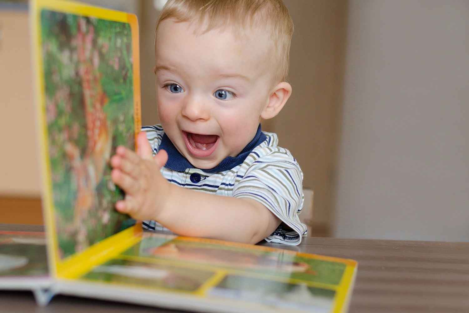 Best animal books for toddlers Being The Parent