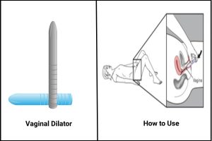 Do Bangladeshi Speak Hindi