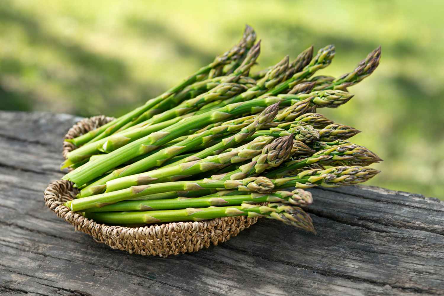 Asparagus For Babies When to Introduce, Benefits and Precautions